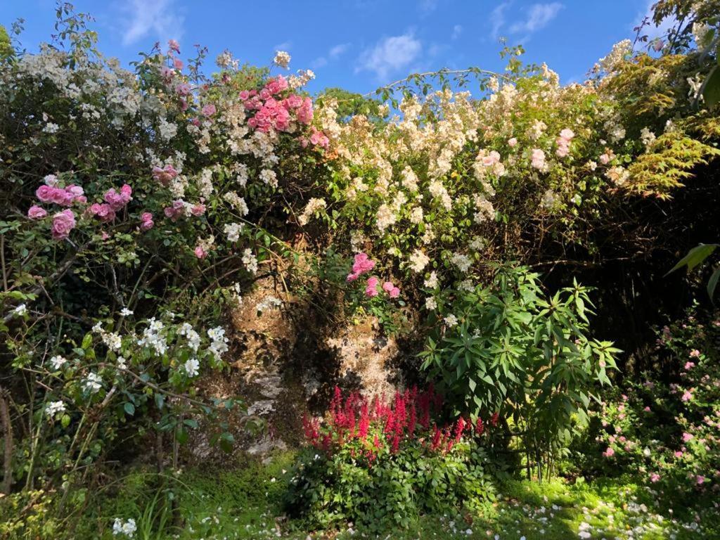 Kilmahon House, P25A973 Bed & Breakfast Shanagarry Exterior photo